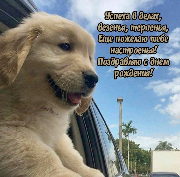 Успеха в делах, везенья, терпенья, еще пожелаю тебе настроенья!