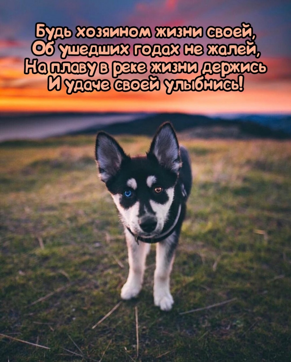 Будь хозяином жизни своей, об ушедших годах не жалей