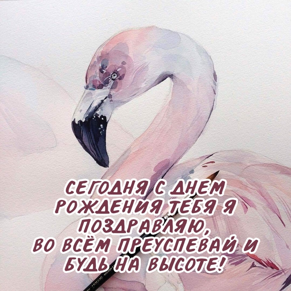 Сегодня с днем рождения тебя я поздравляю