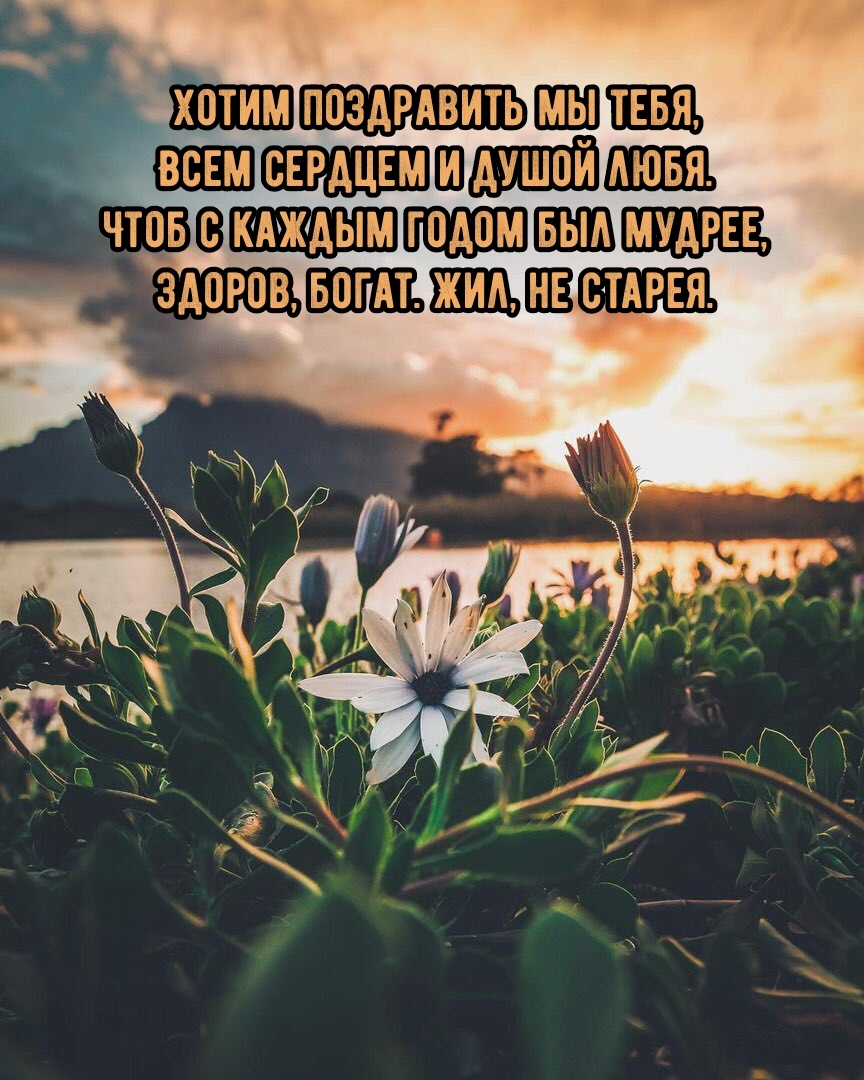 Чтоб с каждым годом был мудрее, здоров, богат. Жил, не старея.