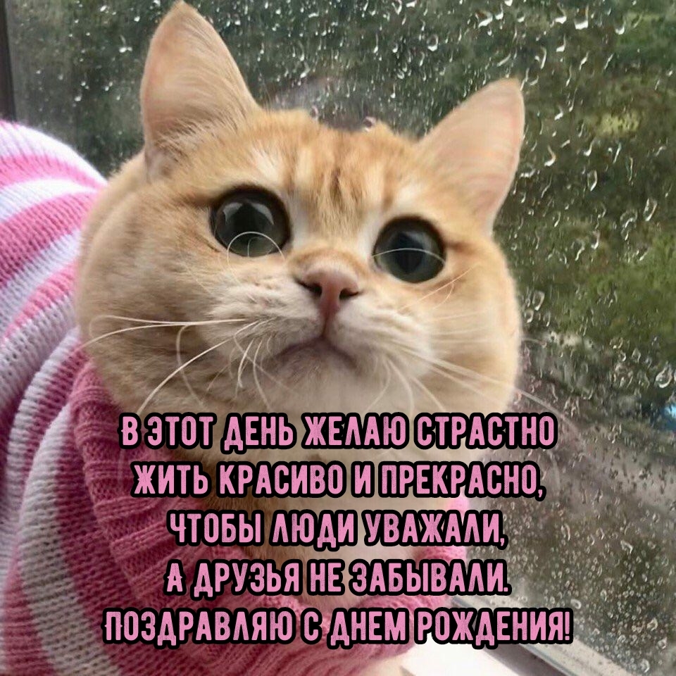 В этот день желаю страстно жить красиво и прекрасно