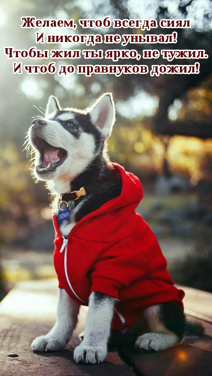 Желаем, чтоб всегда сиял и никогда не унывал!