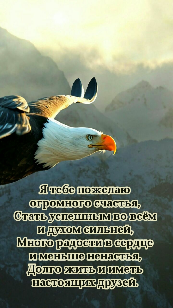 Я тебе пожелаю огромного счастья, стать успешным 