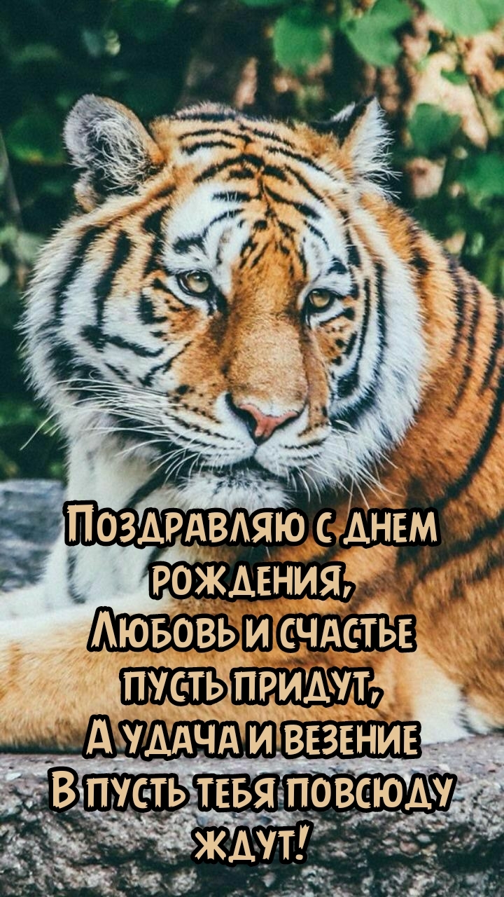 С днем рождения, любовь и счастье пусть придут