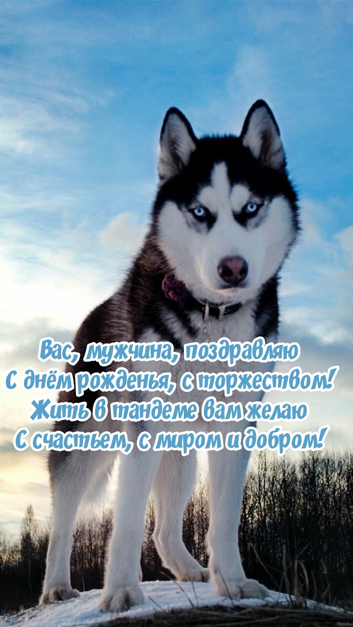 Вас, мужчина, поздравляю с днём рожденья, с торжеством!