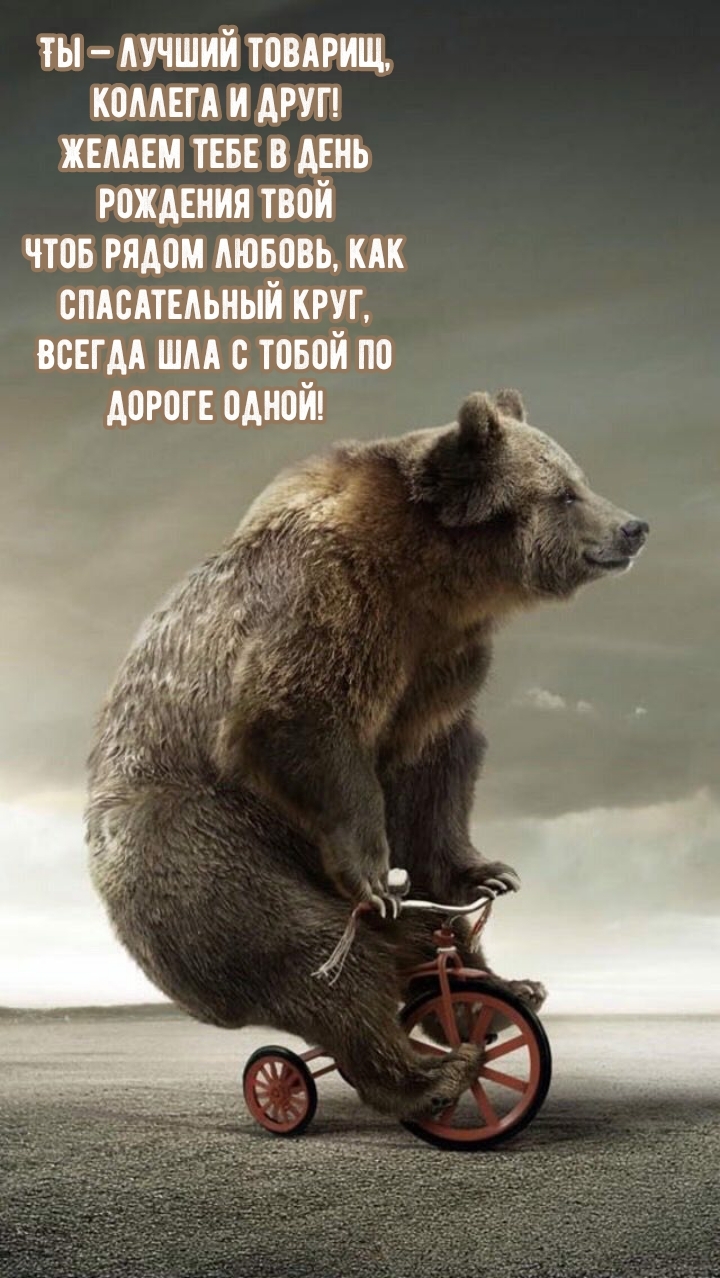 Ты — лучший товарищ, коллега и друг!