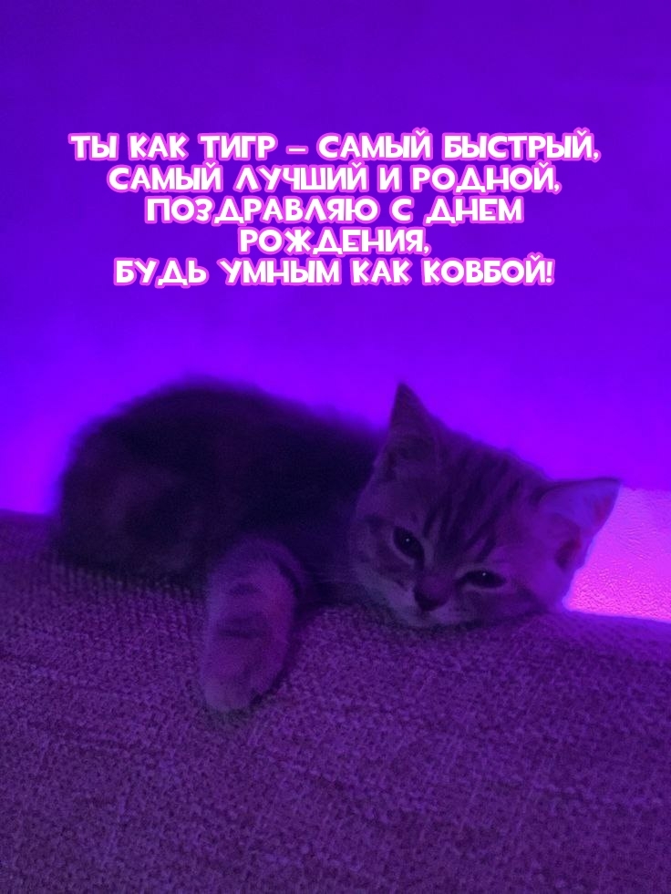 Поздравляю с днем рождения, будь умным как ковбой!