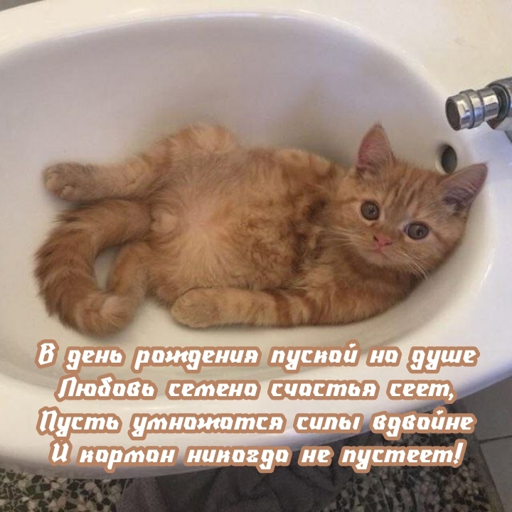 В день рождения пускай на душе любовь семена счастья сеет