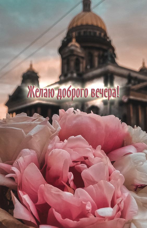 Желаю доброго вечера!