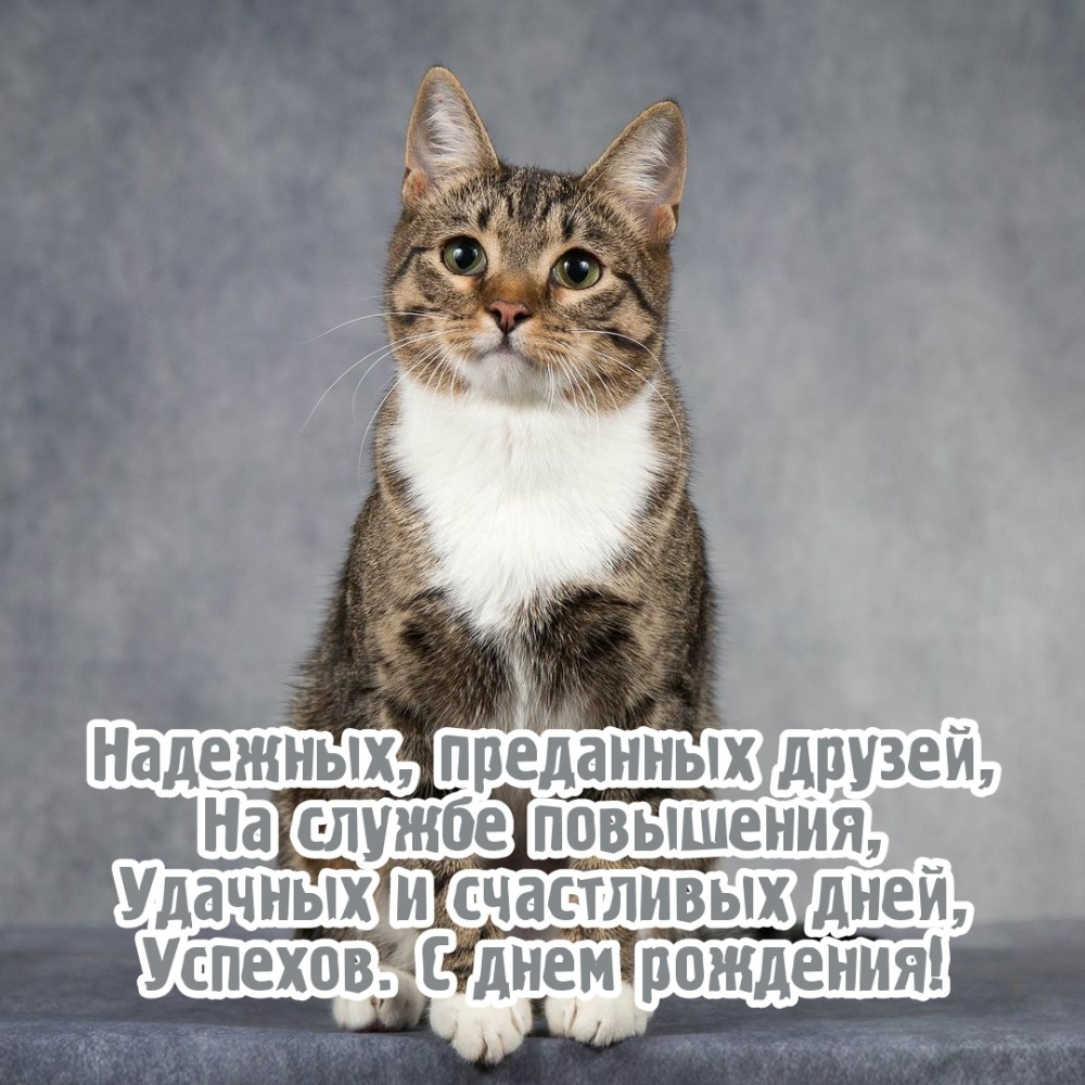 Удачных и счастливых дней, успехов. С днем рождения!