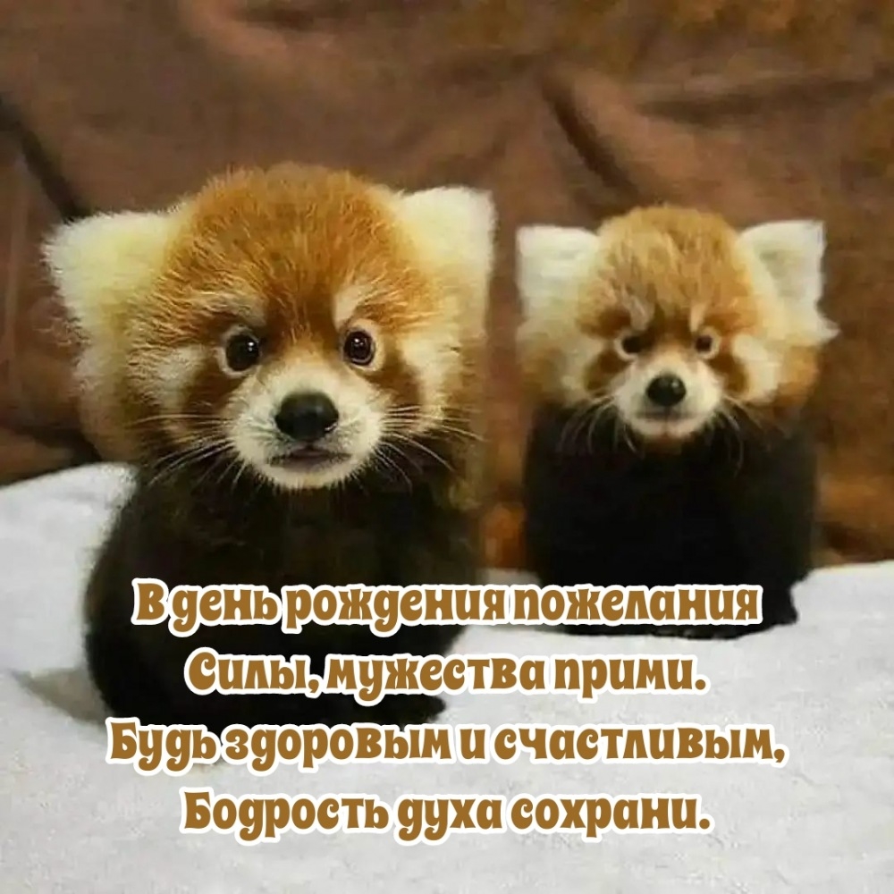 В день рождения пожелания силы, мужества прими.