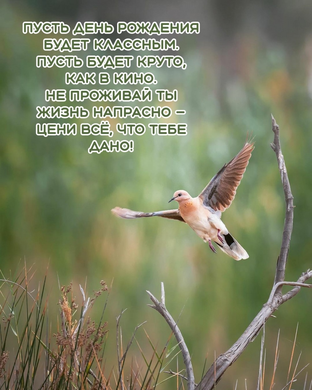 Пусть день рождения будет классным. Пусть будет круто, как в кино.