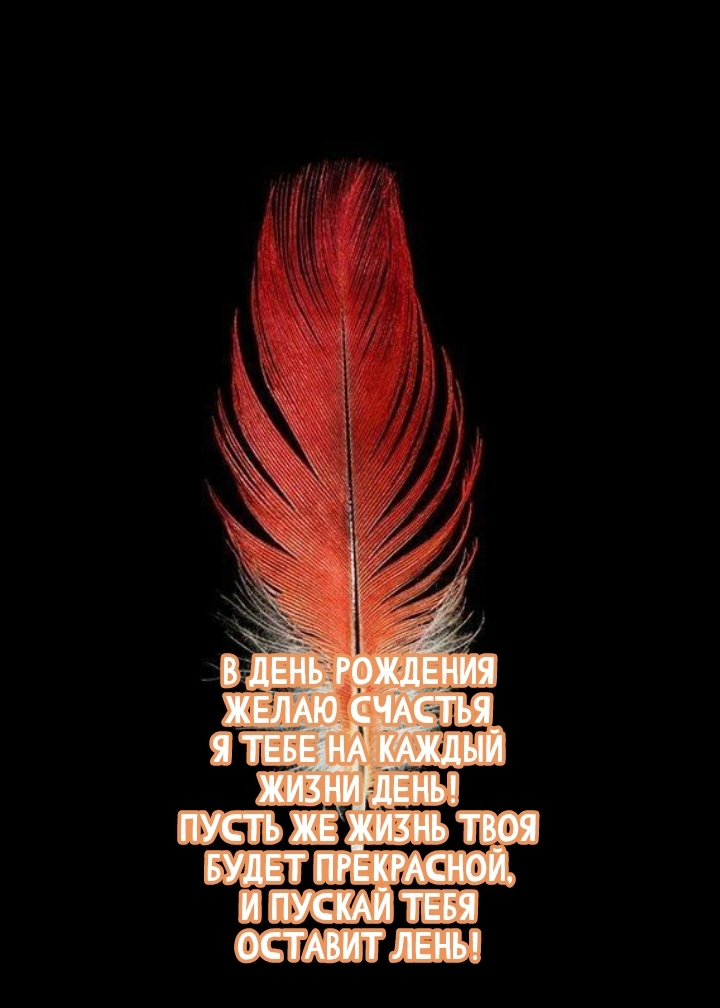 В день рождения желаю счастья я тебе на каждый жизни день!