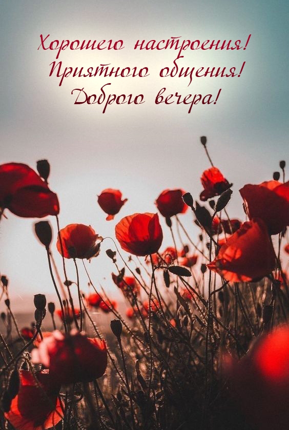 Хорошего настроения! Приятного общения! Доброго вечера!