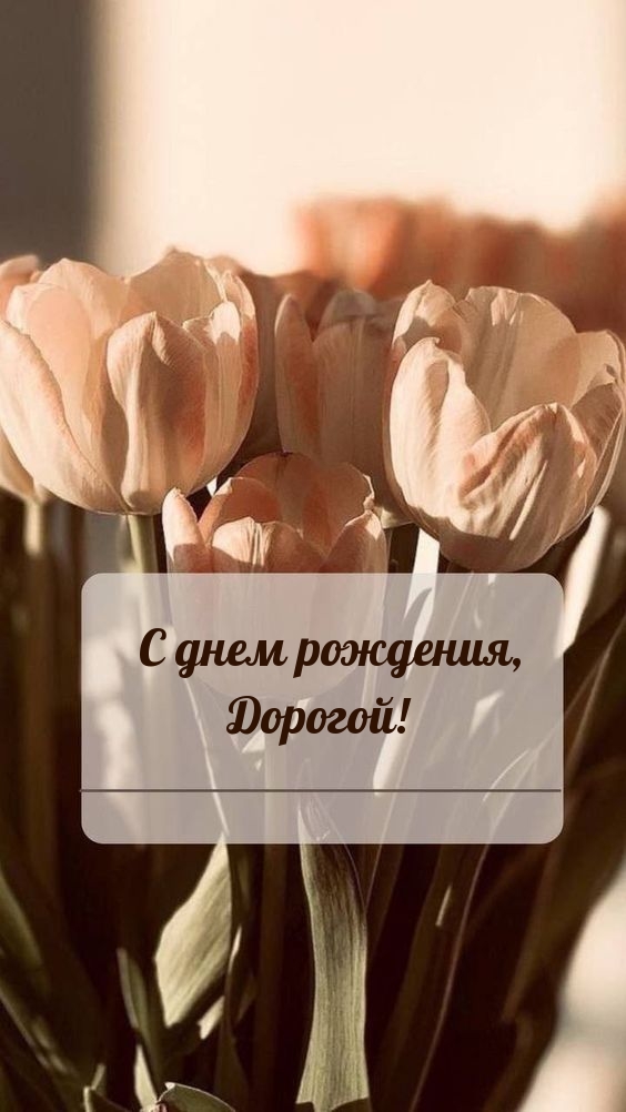С днем рождения, Дорогой!