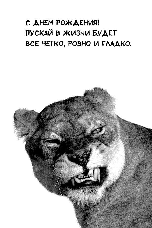 С днем рождения! Пускай в жизни будет все четко