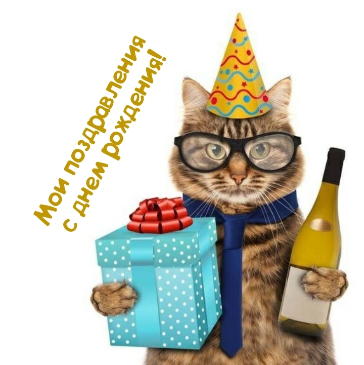 Мои поздравления с днем рождения!