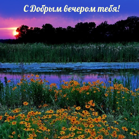 С Добрым вечером тебя!
