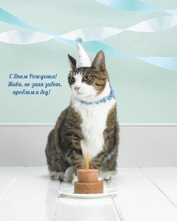С Днем Рожденья!  Живи, не зная забот