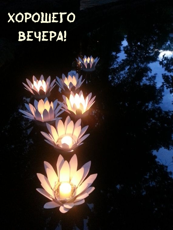 Хорошего Вечера!