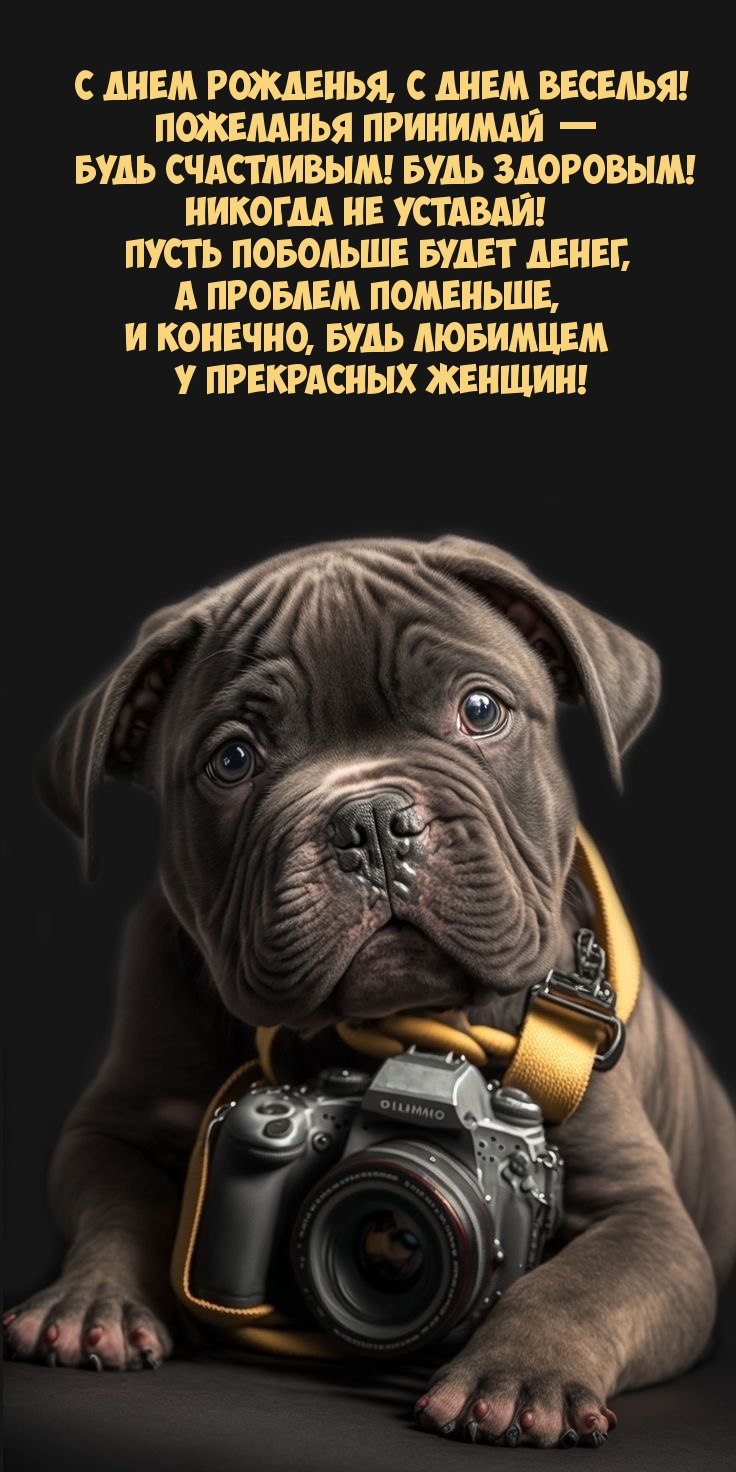 С Днем рожденья, с Днем веселья! Будь здоровым!