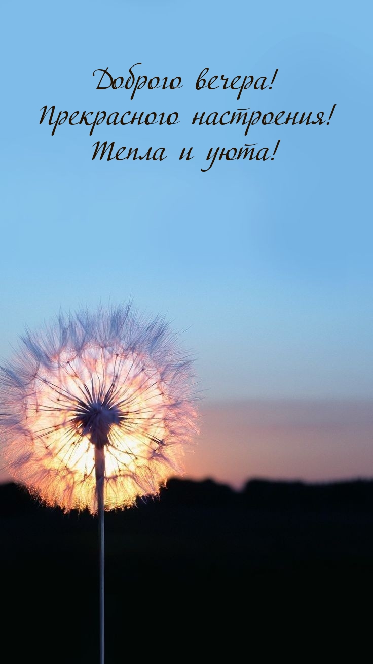 Доброго вечера! Прекрасного настроения! Тепла и уюта!