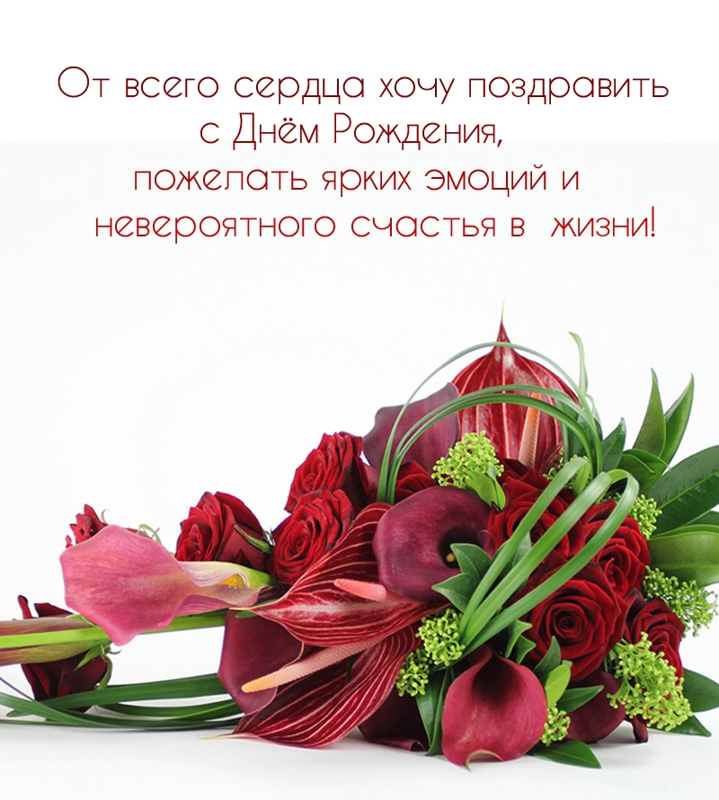 От всего сердца хочу поздравить с Днём Рождения