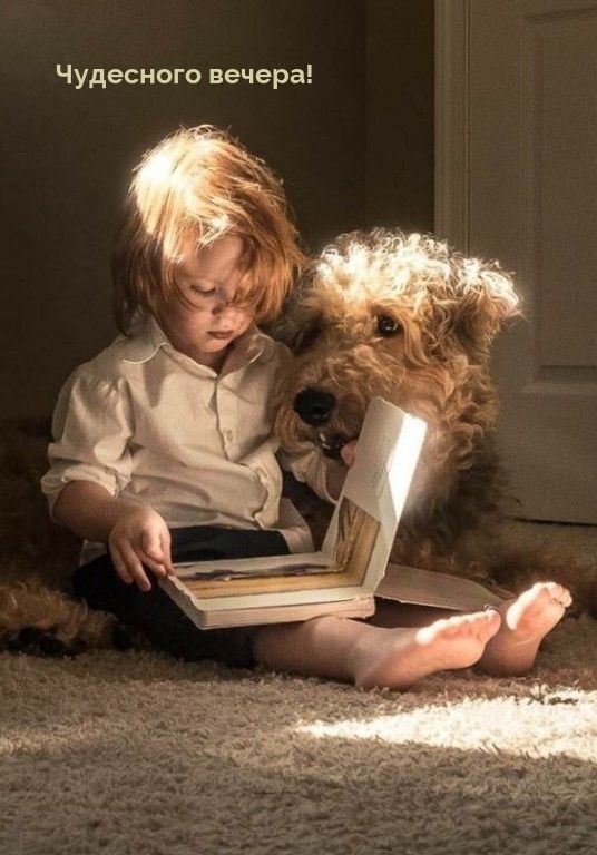 Чудесного вечера!