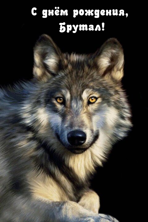 С днём рождения, брутал!