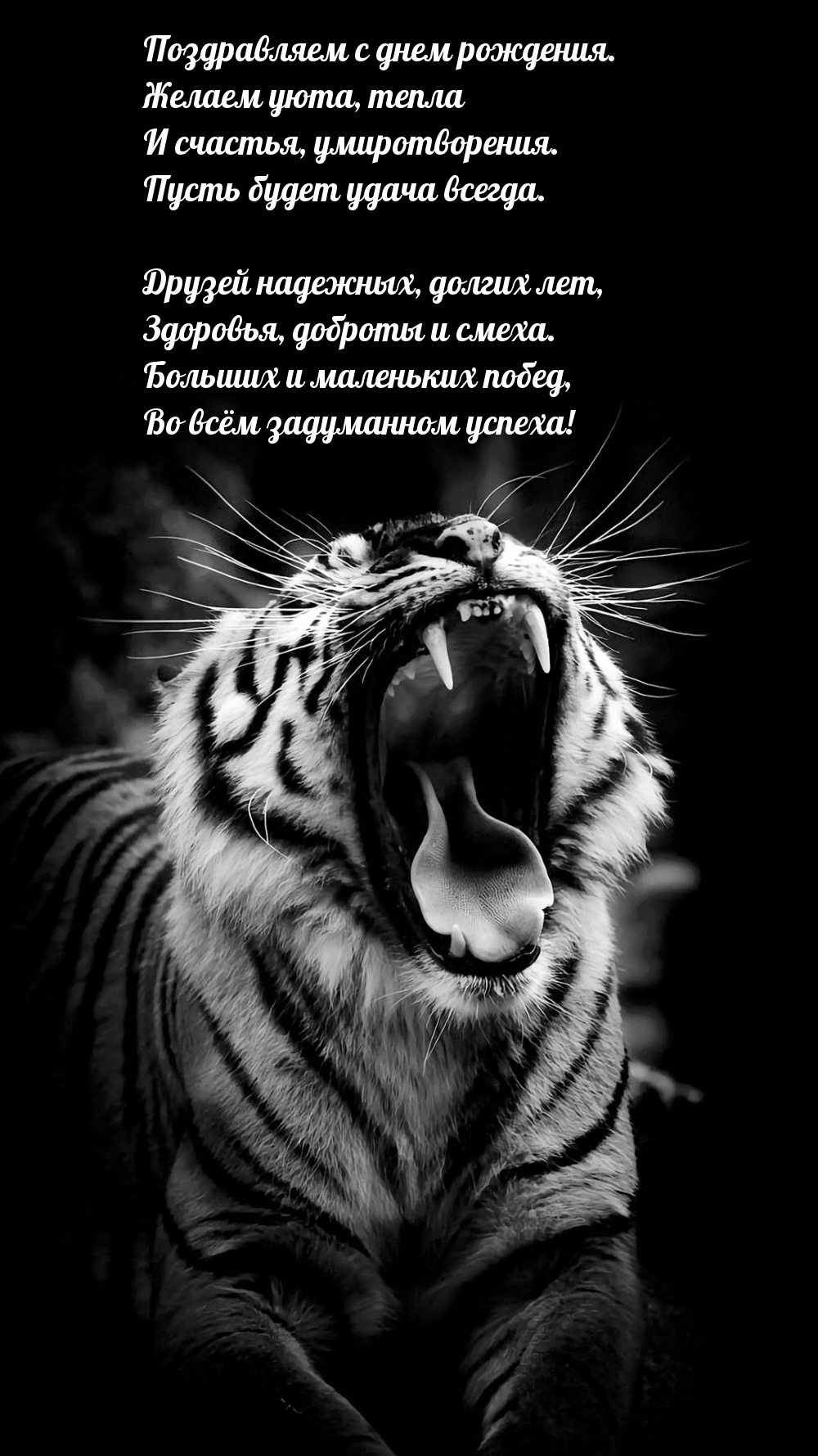 Поздравляем с днем рождения. Желаем уюта, тепла