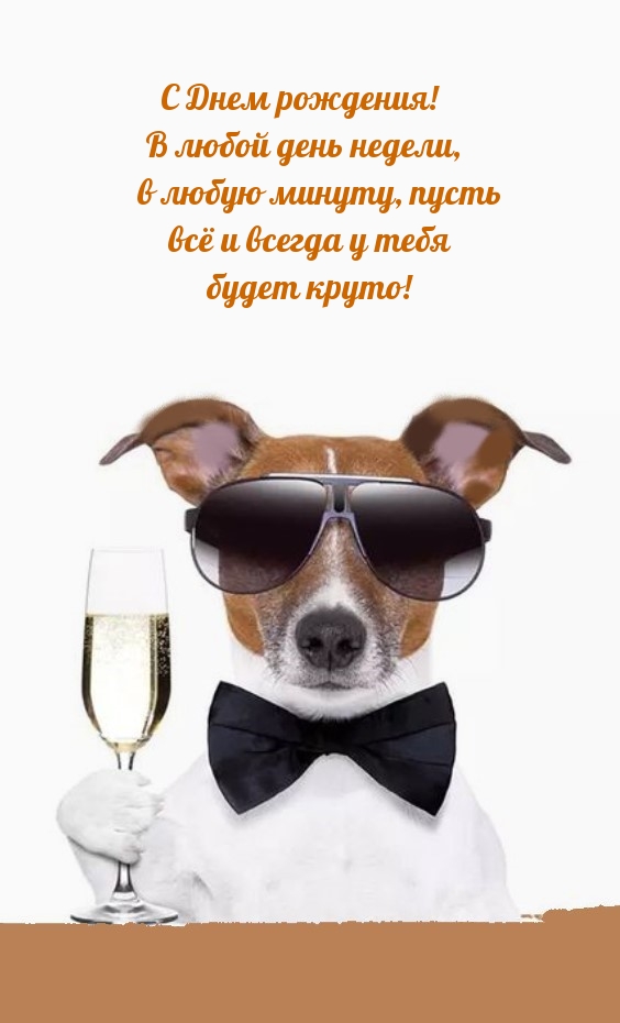 С Днем рождения! Пусть всё и всегда у тебя будет круто!