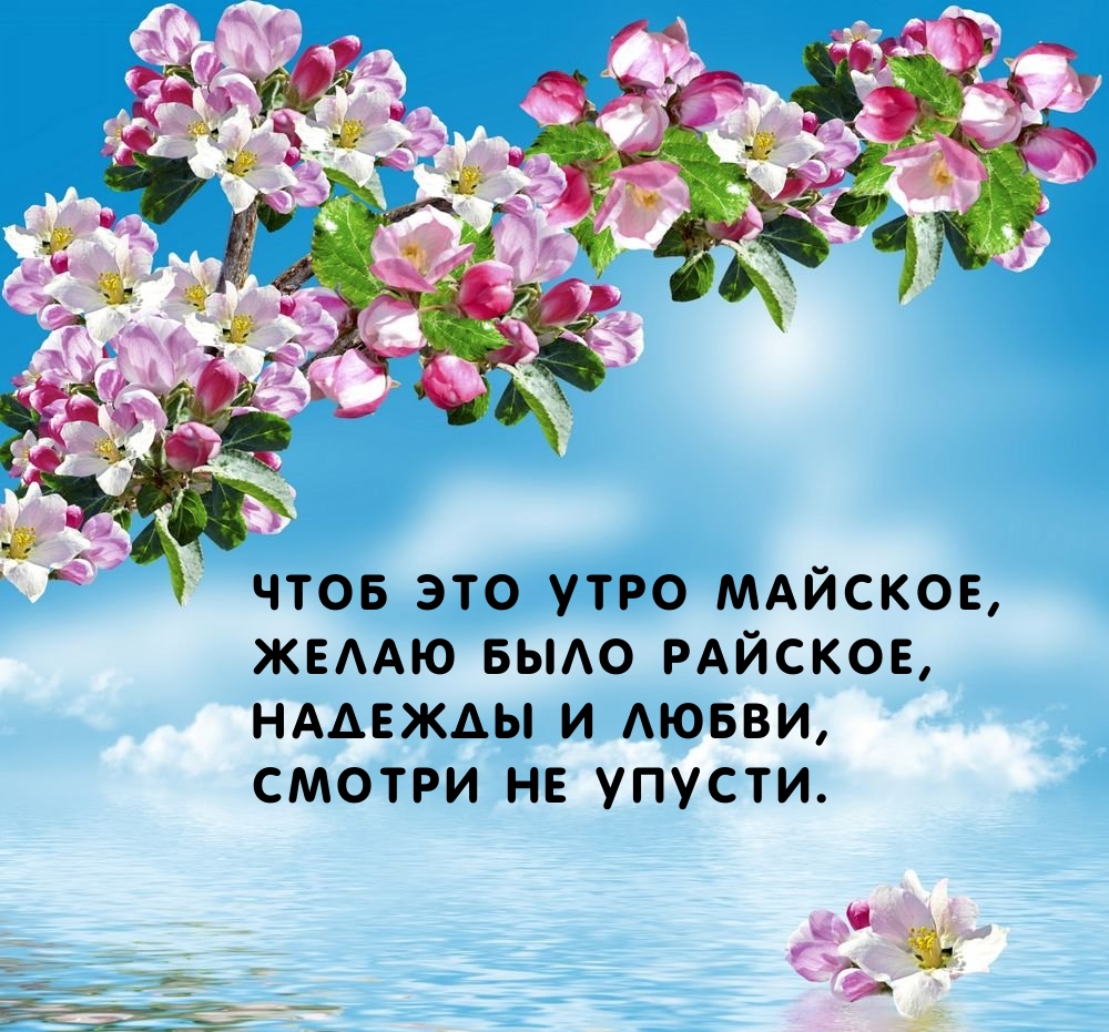 Чтоб это утро майское, желаю было райское