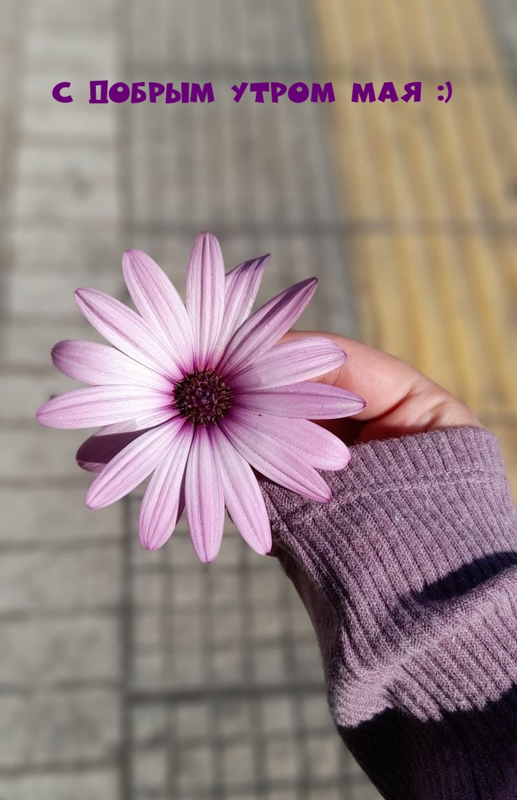 С добрым утром мая :)