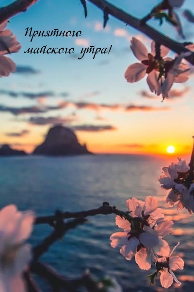 Приятного майского утра!