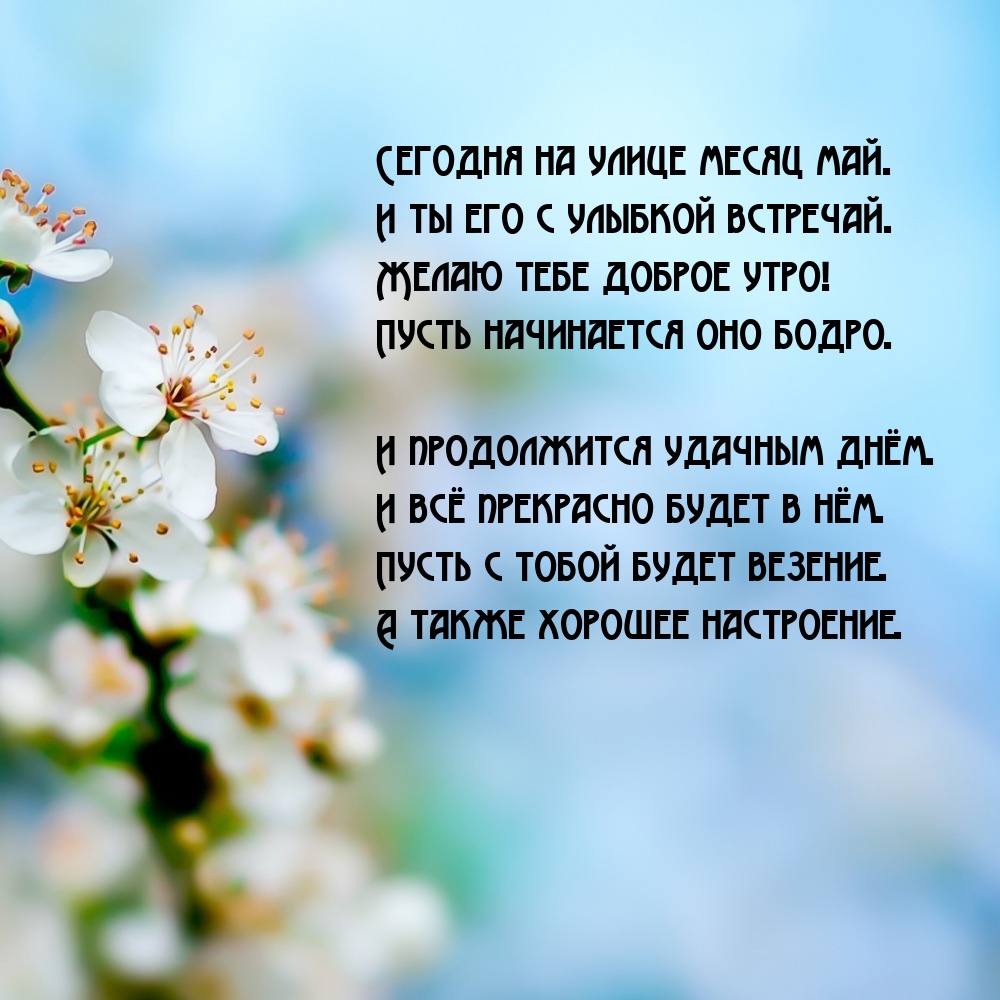 Сегодня на улице месяц май. И ты его с улыбкой встречай.