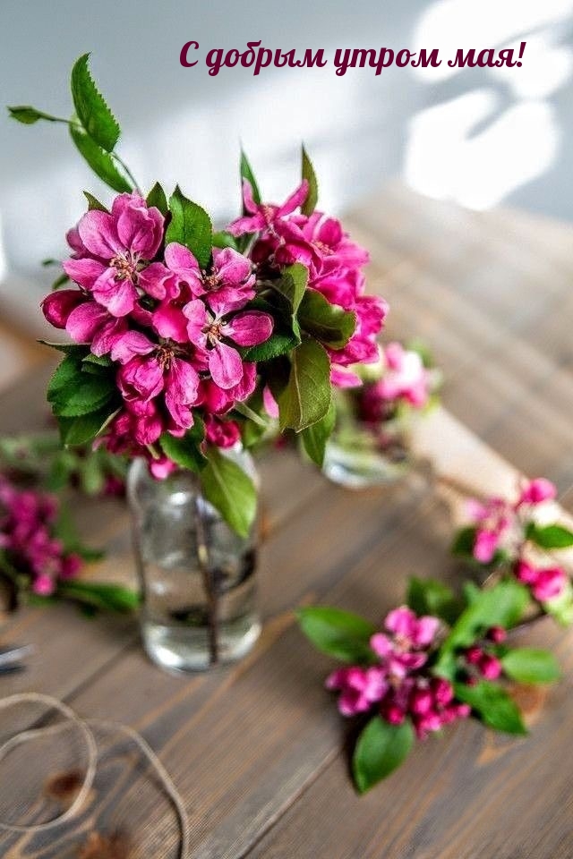 С добрым утром мая!