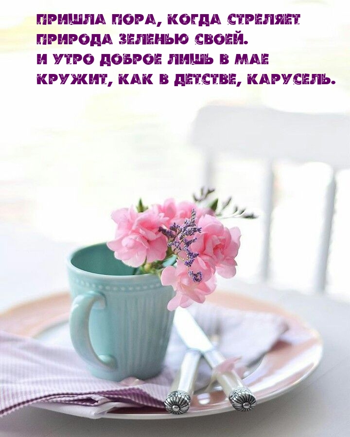 Утро доброе лишь в мае кружит, как в детстве, карусель.