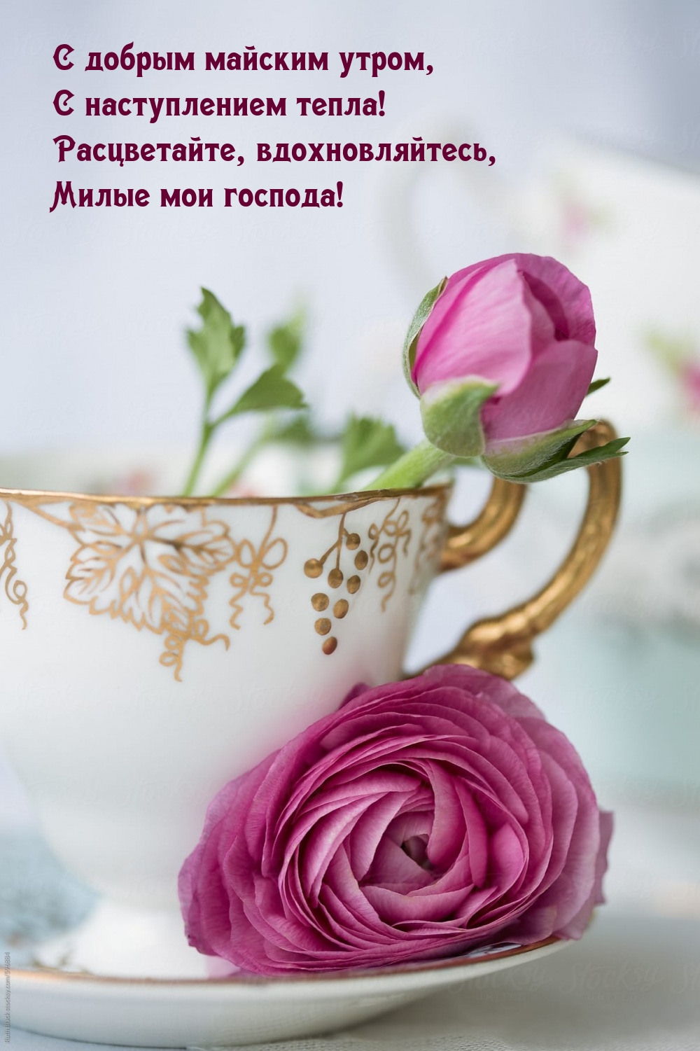 С добрым майским утром, с наступлением тепла!