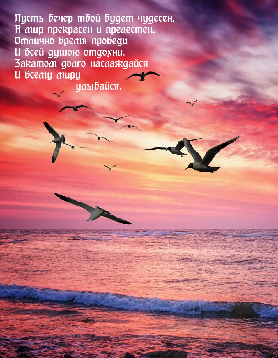 Пусть вечер твой будет чудесен, а мир прекрасен и прелестен.