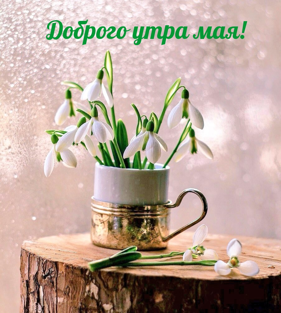 Доброго утра мая!