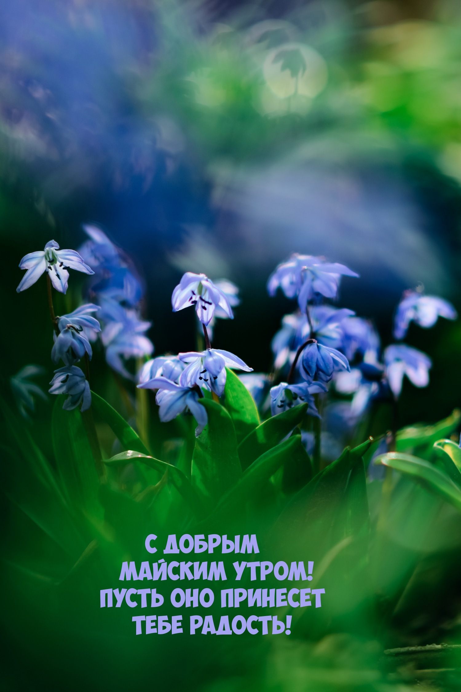 С добрым майским утром! Пусть оно принесет тебе радость!