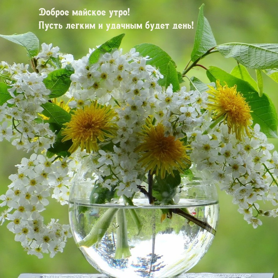 Доброе майское утро! Пусть легким и удачным будет день!