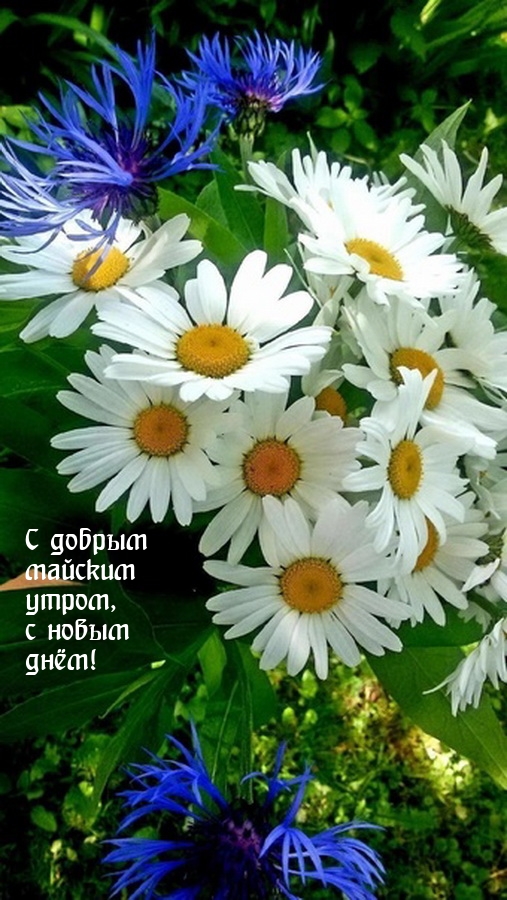 С добрым майским утром, с новым днём!