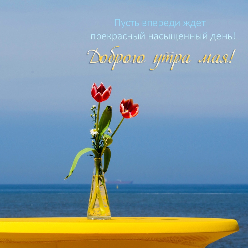 Доброго утра мая! Пусть впереди ждет прекрасный день!