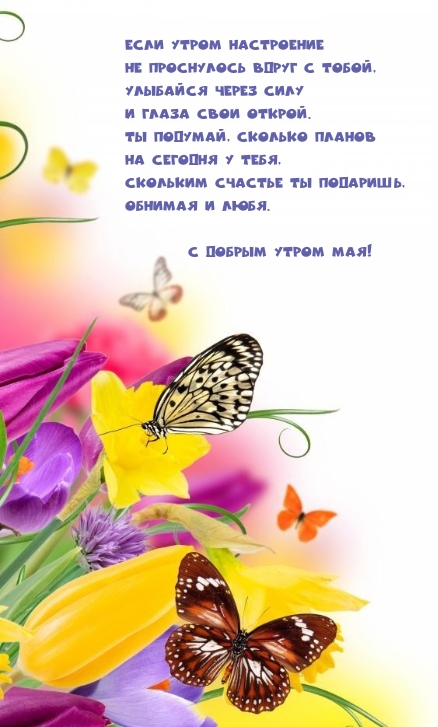 С добрым утром мая! Скольким счастье ты подаришь, обнимая и любя.
