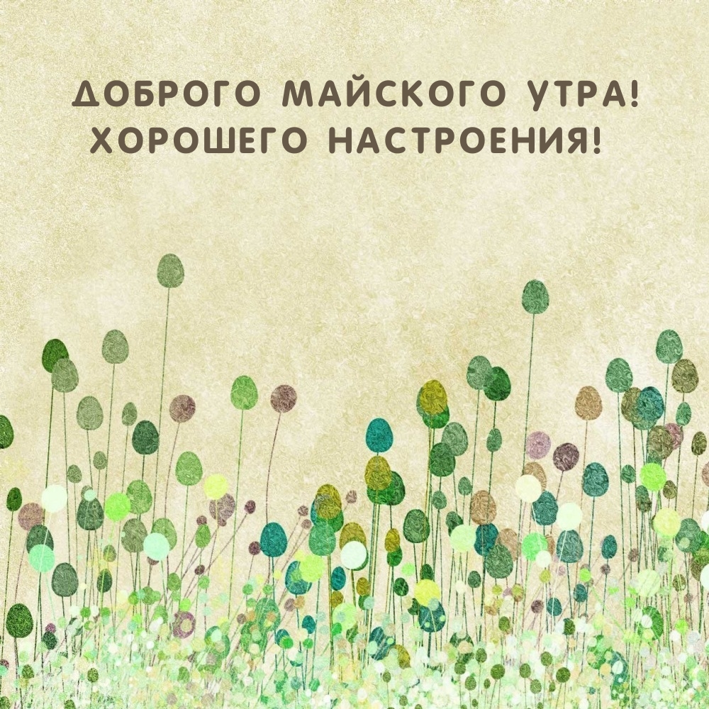 Доброго майского утра! Хорошего настроения!