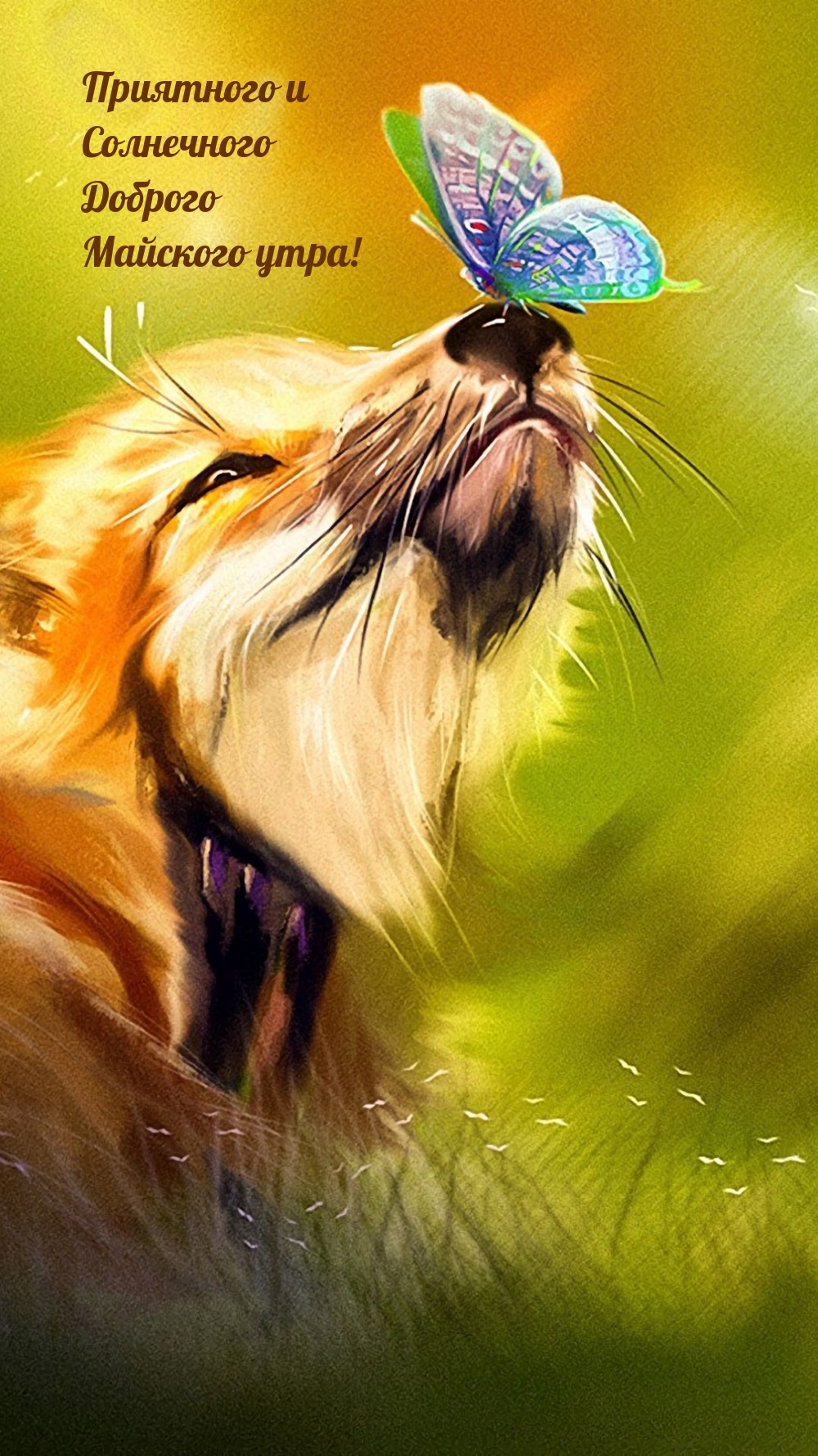 Приятного и Солнечного Доброго Майского утра!
