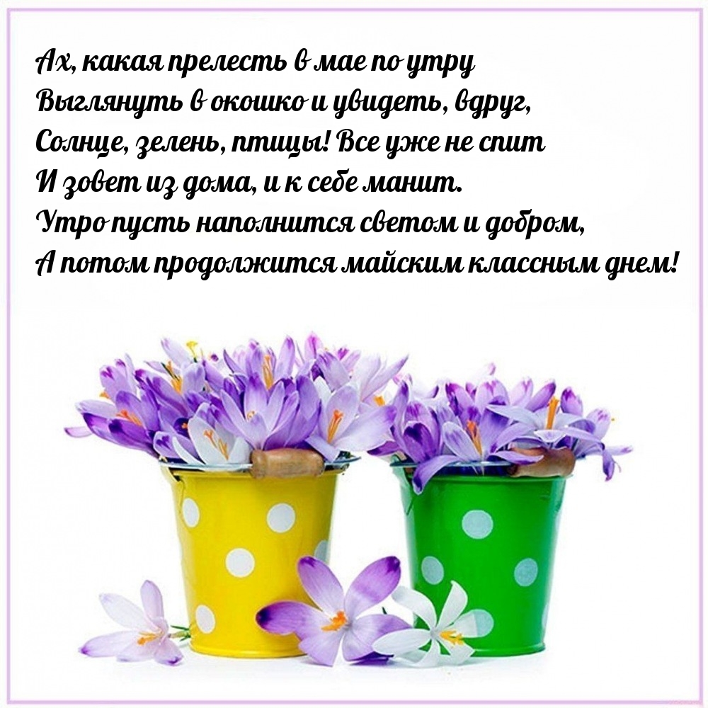 Какая прелесть в мае по утру