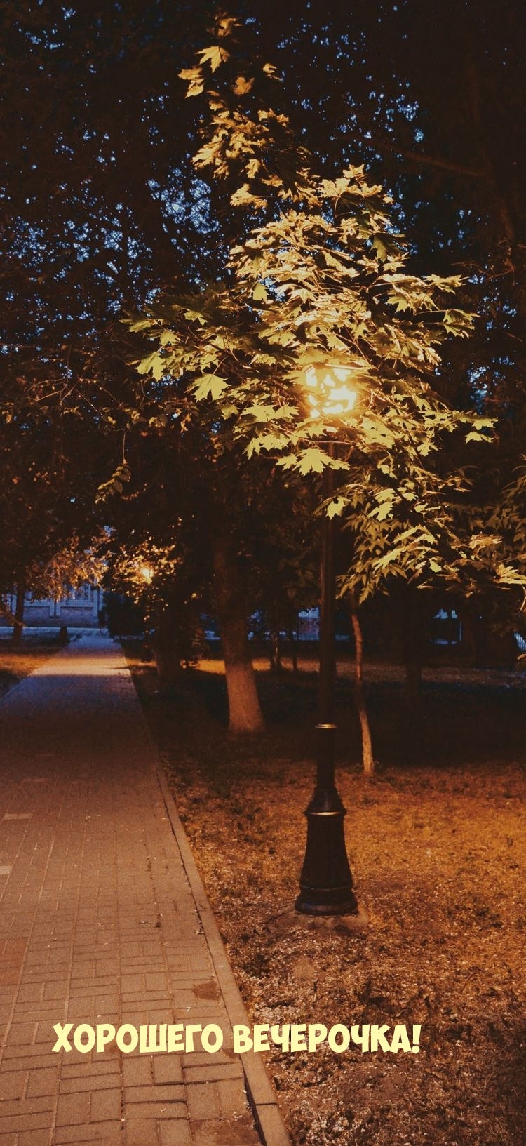 Хорошего вечерочка!