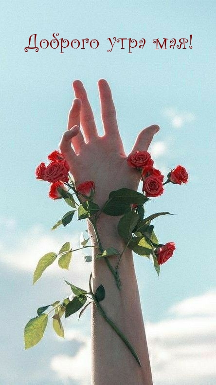 Доброго утра мая!